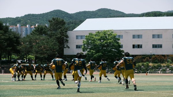 ¿Cómo preparar un postre italiano clásico llamado panna cotta con coulis de frutos rojos?