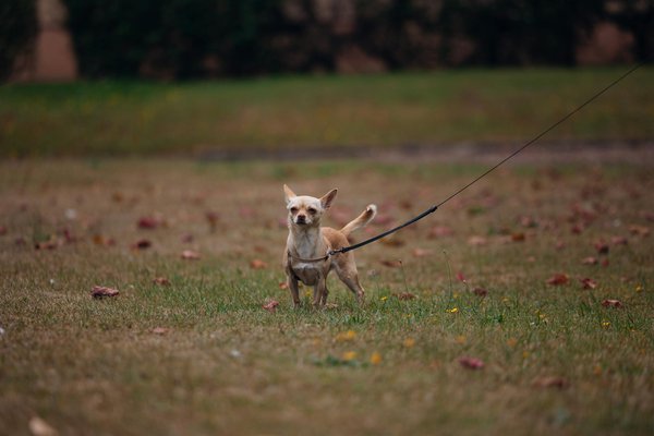 El impacto de las tasas de interés en bienes raíces en 2024 y más allá